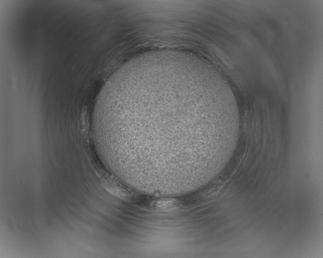 X0000074940173200609221714