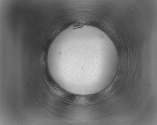 X0000074940174200609221714