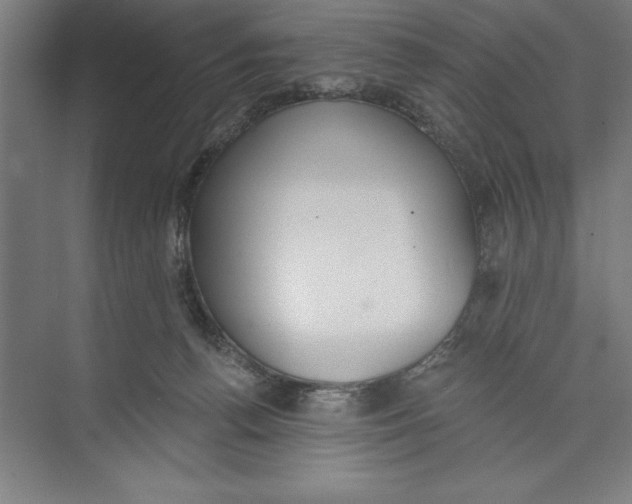 X0000074940176200609221714