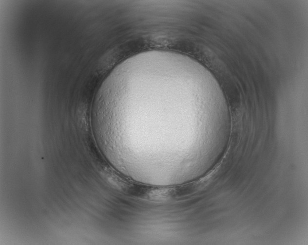 X0000074940178200609221714