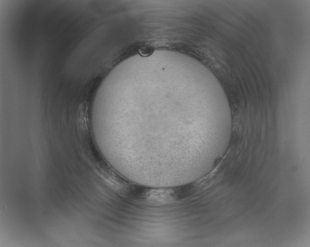 X0000074940179200609221714