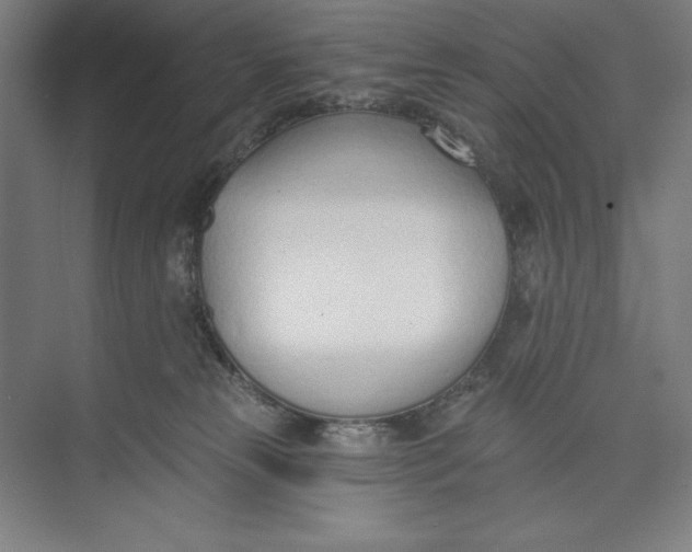 X0000074940181200609221714