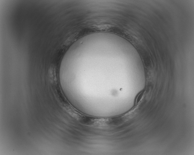 X0000074940182200609221714