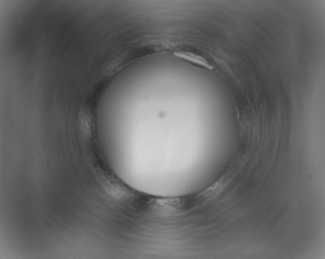 X0000074940188200609221714