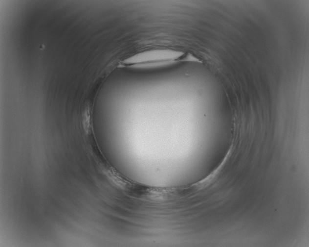 X0000074940190200609221714