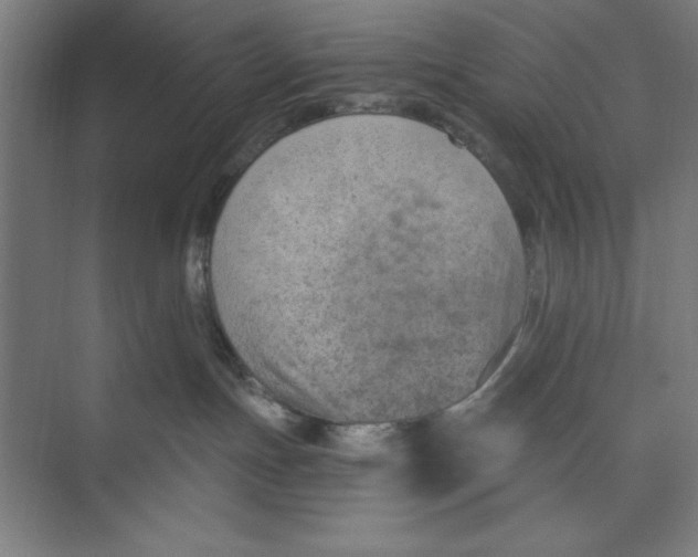 X0000074940191200609221715