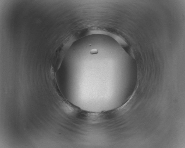 X0000074940192200609221715