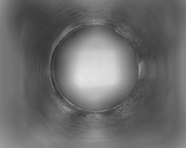 X0000074940195200609221714