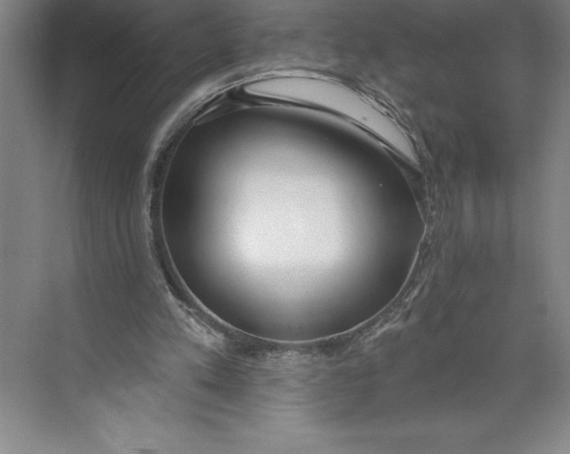 X0000074940197200609221714