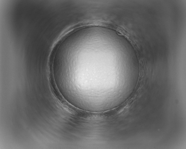 X0000074940198200609221714