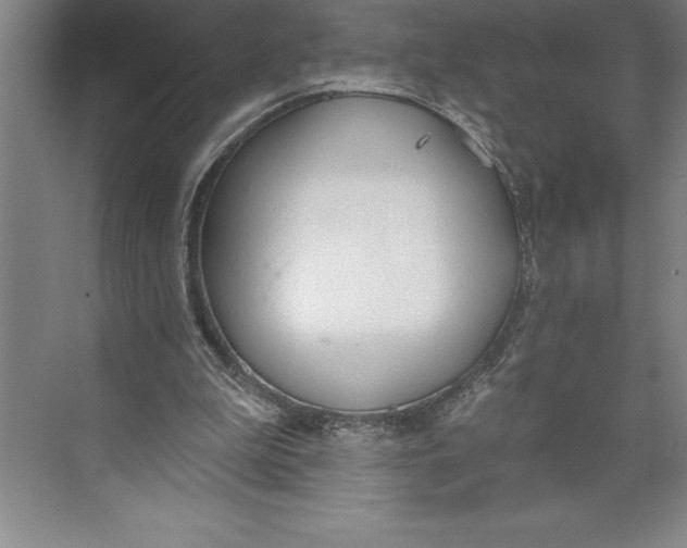 X0000074940199200609221714