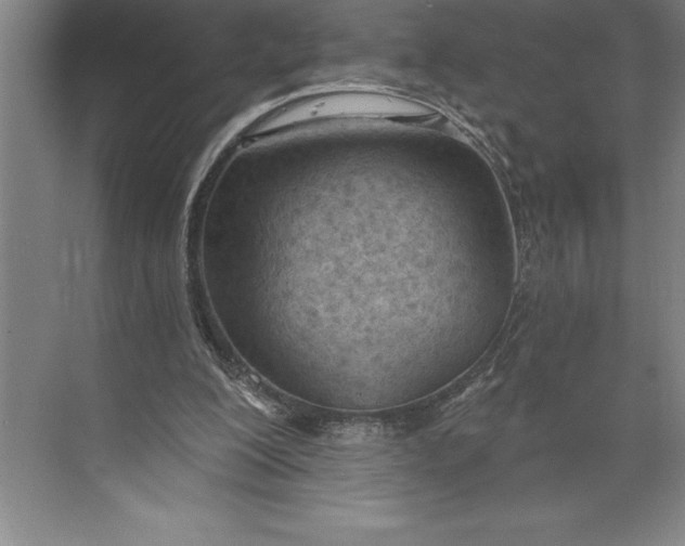 X0000074940200200609221714