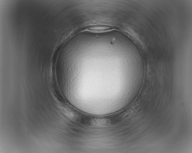 X0000074940202200609221714