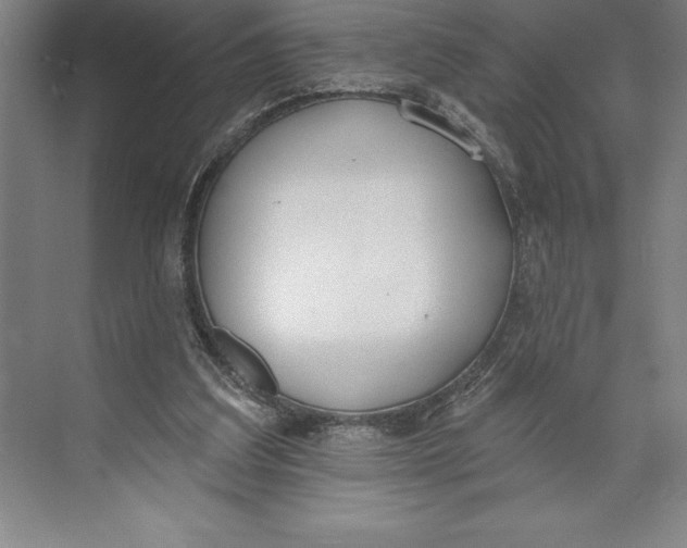 X0000074940203200609221714