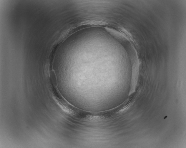 X0000074940205200609221713