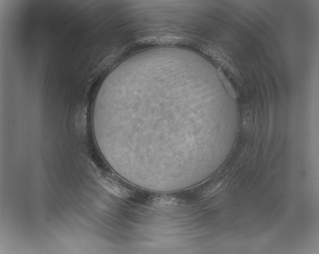 X0000074940206200609221713