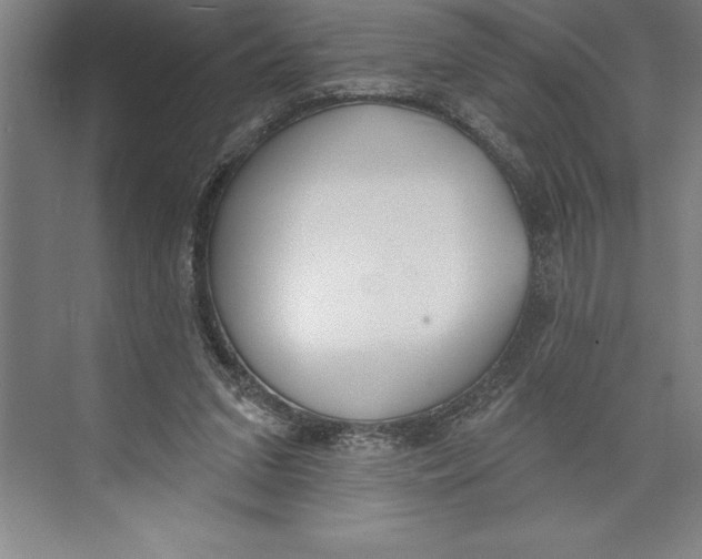 X0000074940207200609221713