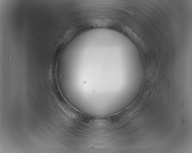 X0000074940209200609221713