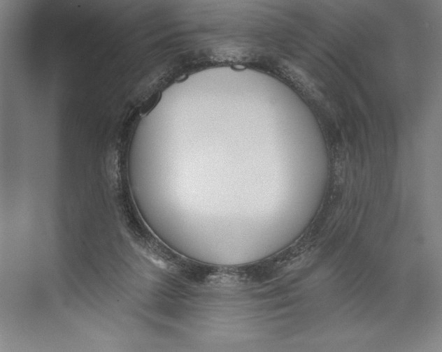 X0000074940211200609221713