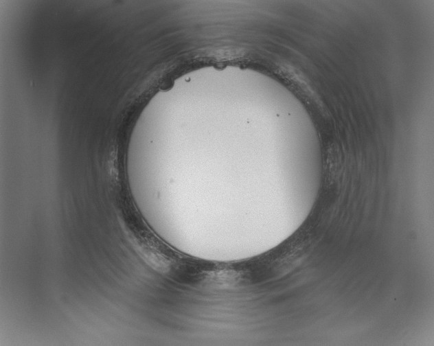 X0000074940212200609221713