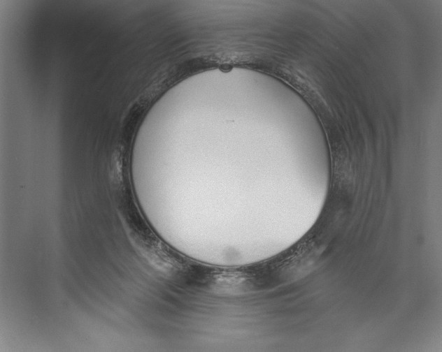 X0000074940214200609221713