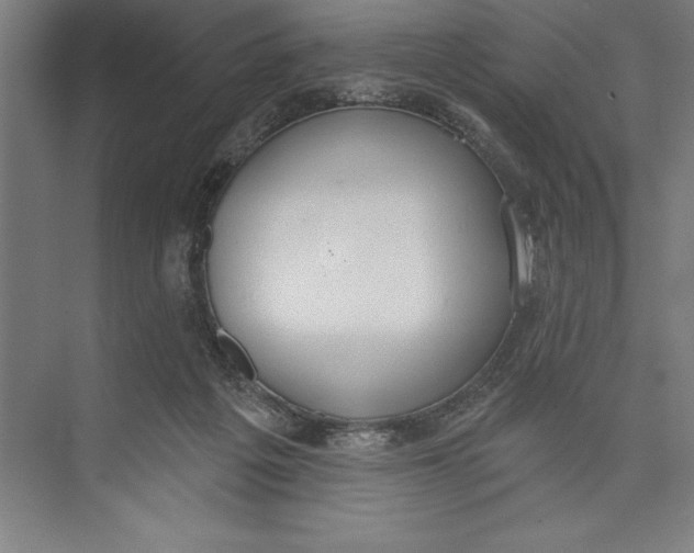 X0000074940217200609221713