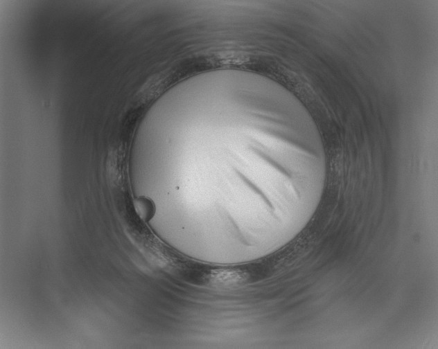 X0000074940218200609221713