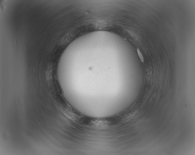 X0000074940221200609221713