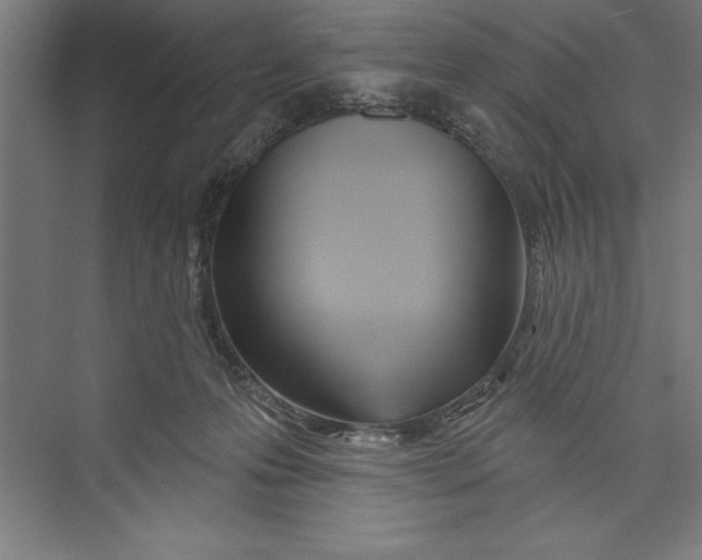 X0000074940223200609221713