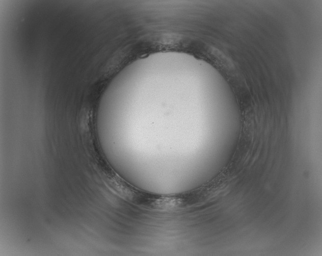 X0000074940225200609221713