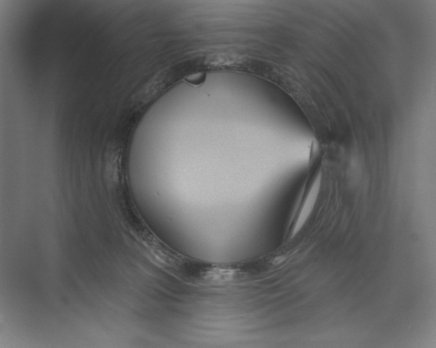 X0000074940227200609221713