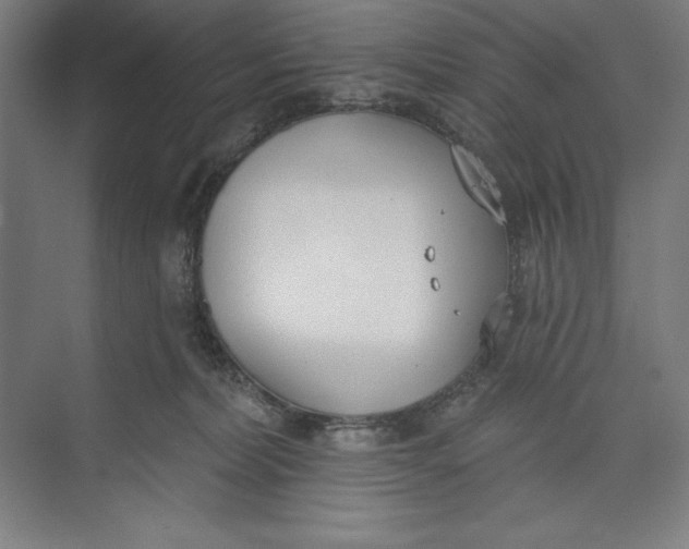 X0000074940228200609221713