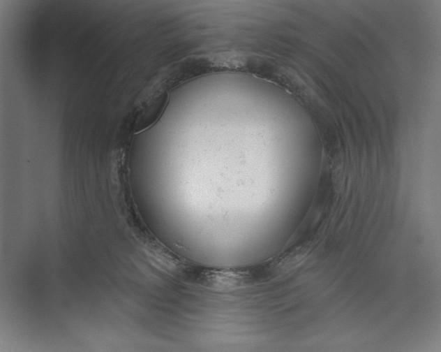 X0000074940229200609221713