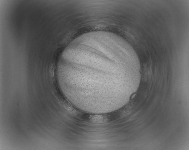 X0000074940230200609221713