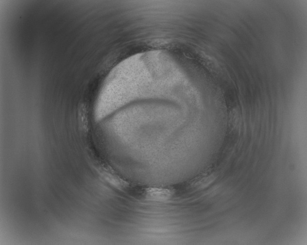 X0000074940234200609221713