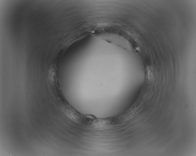 X0000074940235200609221713