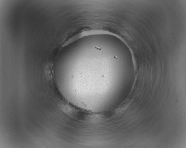 X0000074940237200609221713