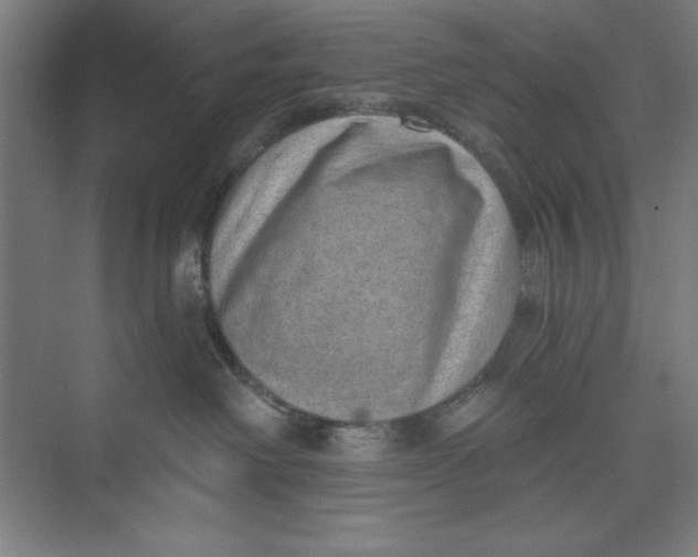 X0000074940238200609221713