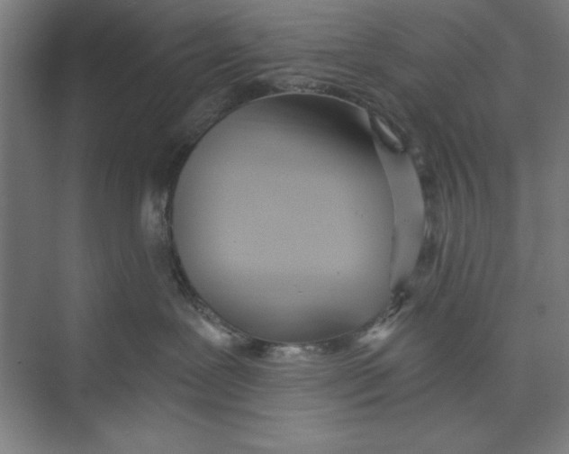 X0000074940239200609221713