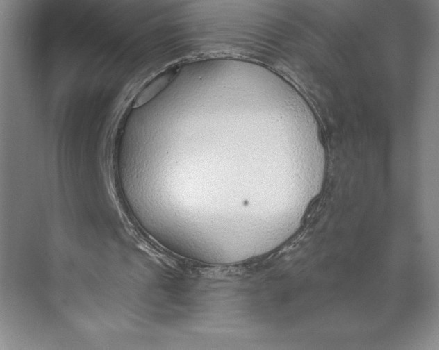 X0000074940241200609221712