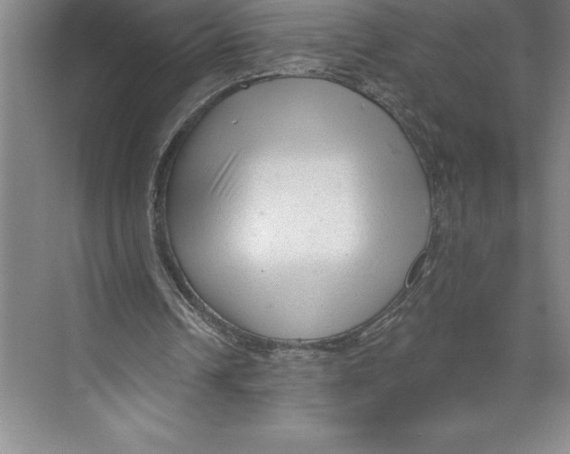 X0000074940242200609221712