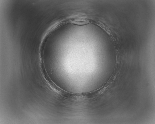 X0000074940245200609221712