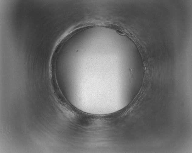 X0000074940246200609221712