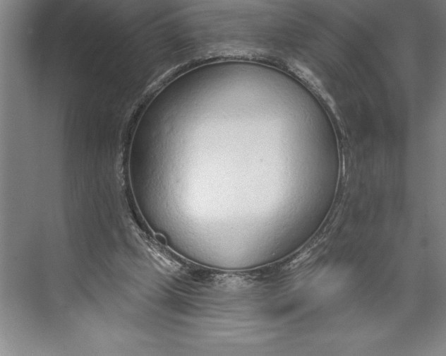 X0000074940249200609221712