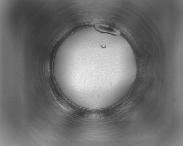 X0000074940251200609221712