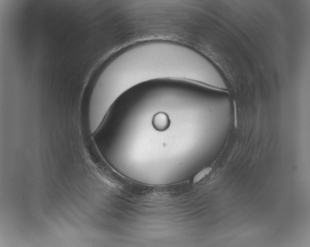 X0000074940252200609221712