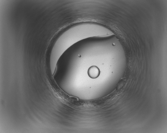 X0000074940256200609221712