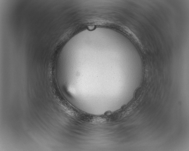 X0000074940257200609221712