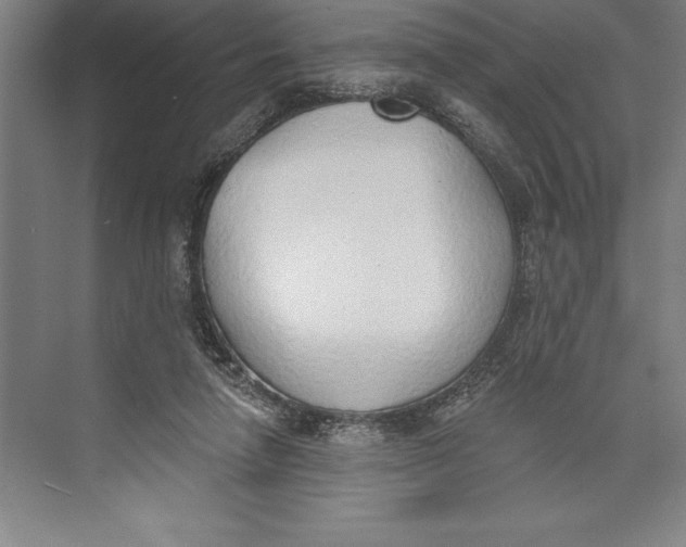 X0000074940258200609221712