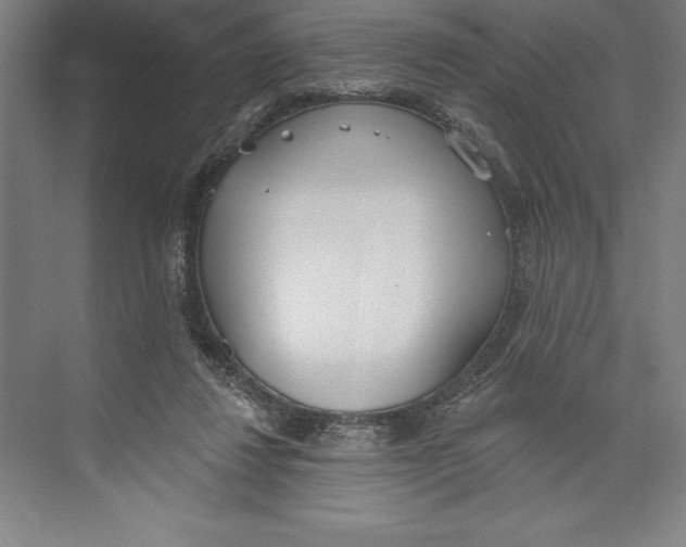 X0000074940260200609221712